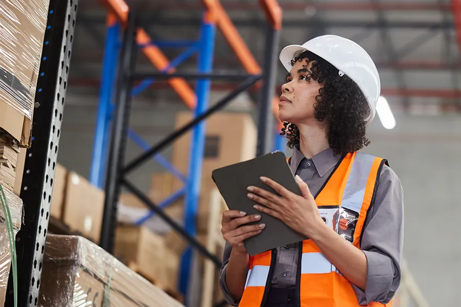 Explore our expertise